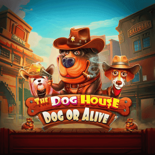 The Dog House - Dog or Alive thumbnail